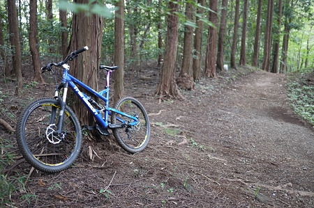 Trail Ride