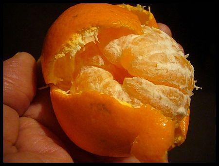 P2620894
