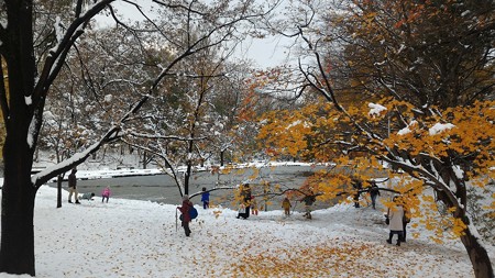 P_20161106_141110