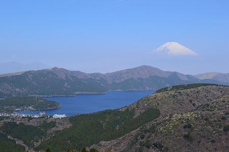 大観山ドライブインから