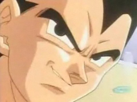 ベジータイケメンすぎワロタ 写真共有サイト フォト蔵