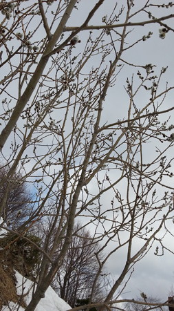 20150404_091434
