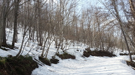 20150418_092452