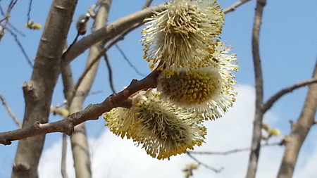 20150418_100017