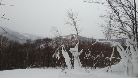 20170103_075605