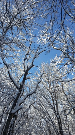 20170311_080724