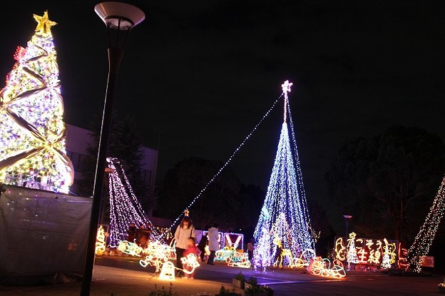 クリスマス イルミネーション 兵庫県小野市 5 写真共有サイト フォト蔵