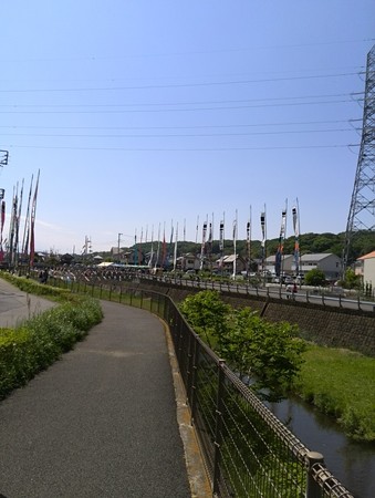 鶴見川 鯉のぼり