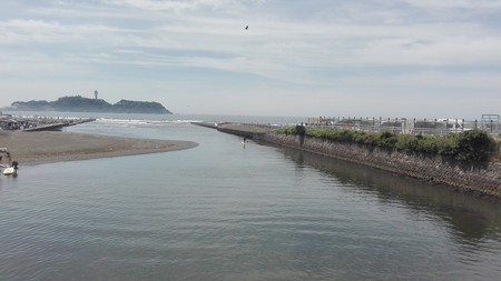 江の島をバックに、鳶と立漕ぎサーファー登場
