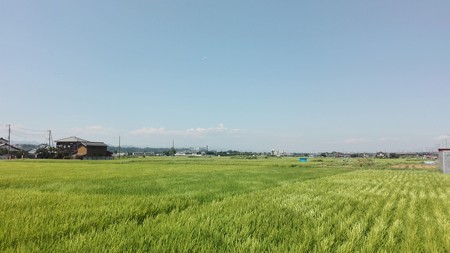 猫バスか?強い風@相武台下