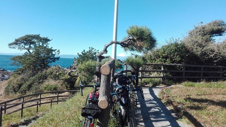 立石公園 富士山