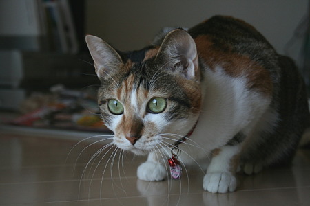 2011010402