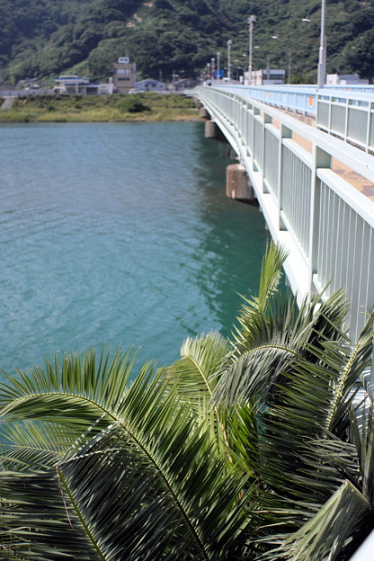 DSCF1564