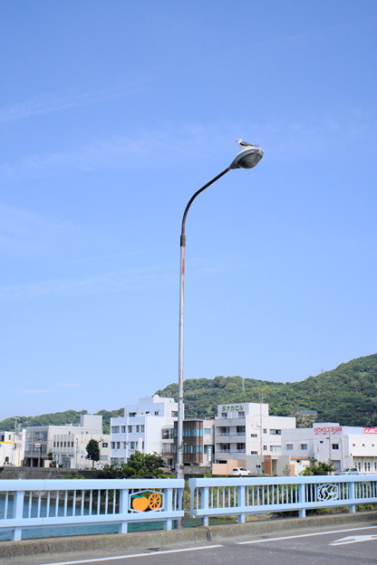 DSCF1568