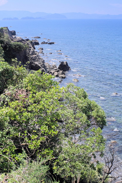 DSCF1581