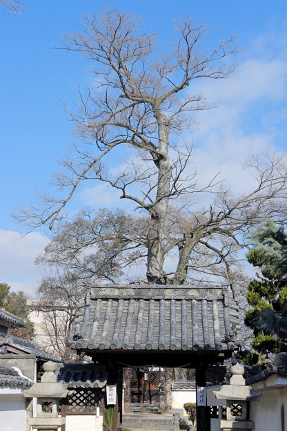 DSCF3821