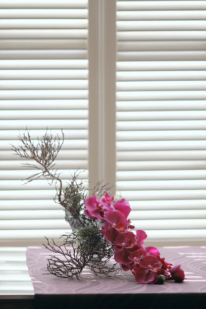 DSCF4085