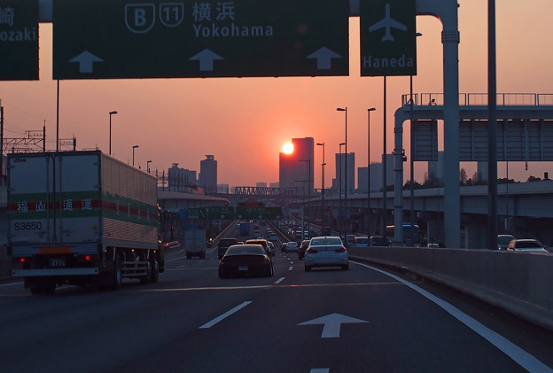 写真: zP3140037