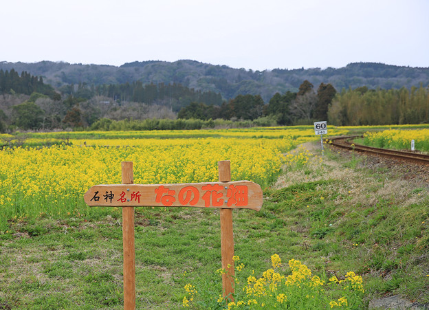 写真: z1M0A7111