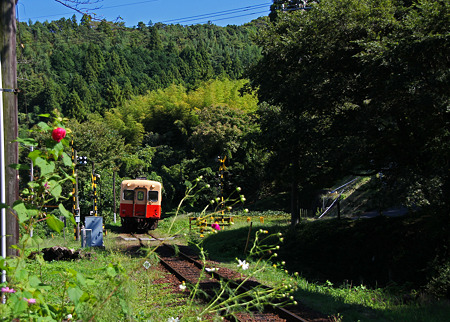 a-20101011千葉ドライブ (90)