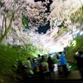 Photos: 桜の渦中へ