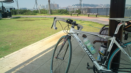 江の島上陸ODKは異常無し?