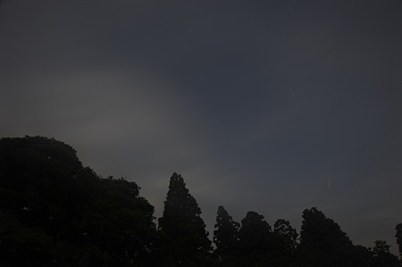 D7_110814_004