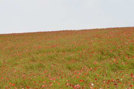 DSC_0097