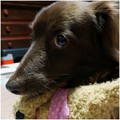 Photos: 2016061605