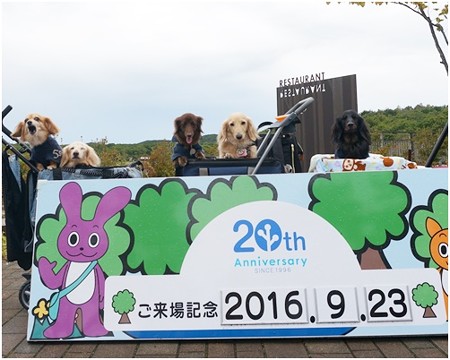 2016100608