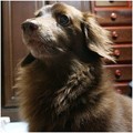 Photos: 2016101703