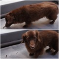 Photos: 2017012101