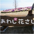Photos: 2017031002