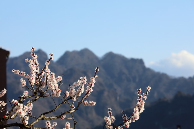 SAの景色6