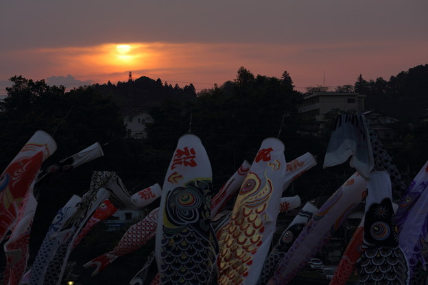 夕暮れ泳ぐ