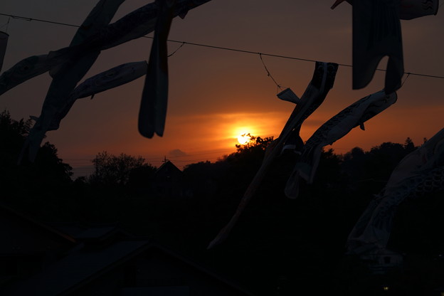 夕日