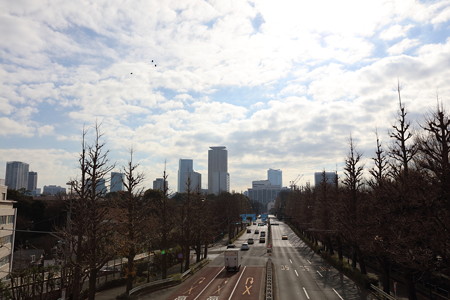 歩道橋からの眺め