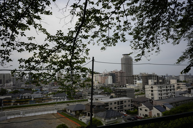 丘から見る聖蹟桜ヶ丘駅
