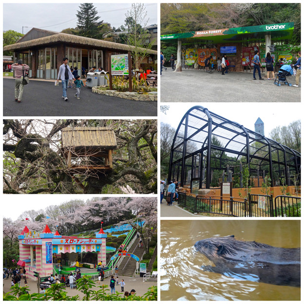 東山動植物園:施設のリニューアル、他 - 2