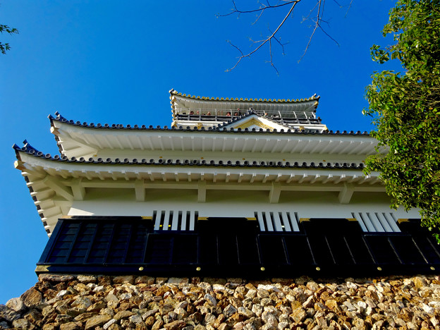 岐阜城 No - 10:真下から見上げた岐阜城