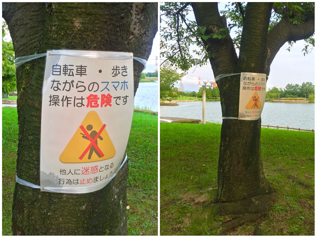 落合公園:ポケモンGoの影響で「歩きスマホ」や「自転車乗りながらのスマホ」の注意書き - 5