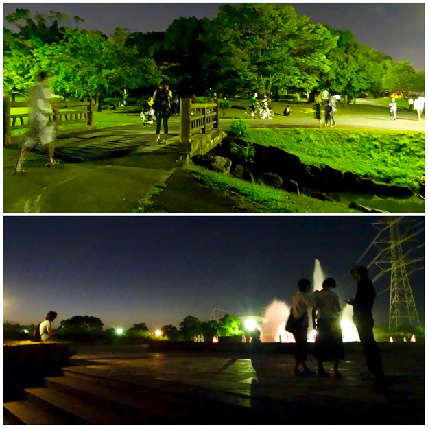 ポケモンGoをやってる人が結構いた、夜の落合公園 - 4