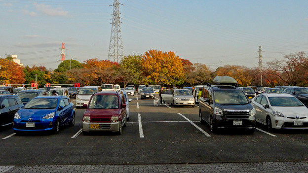 落合公園の紅葉 - 42