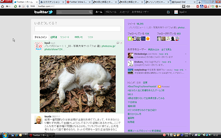 Operaエクステンション:Twitter Inline Images(横長