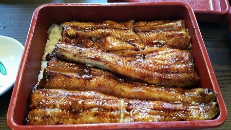 unagi_1