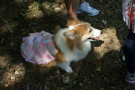DSC03043