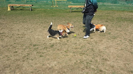 20150322_094007