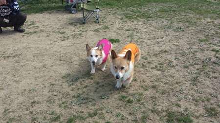 20150322_095941