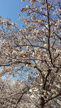 20150331_162342