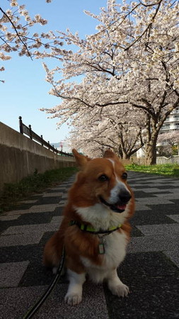 20150331_162432